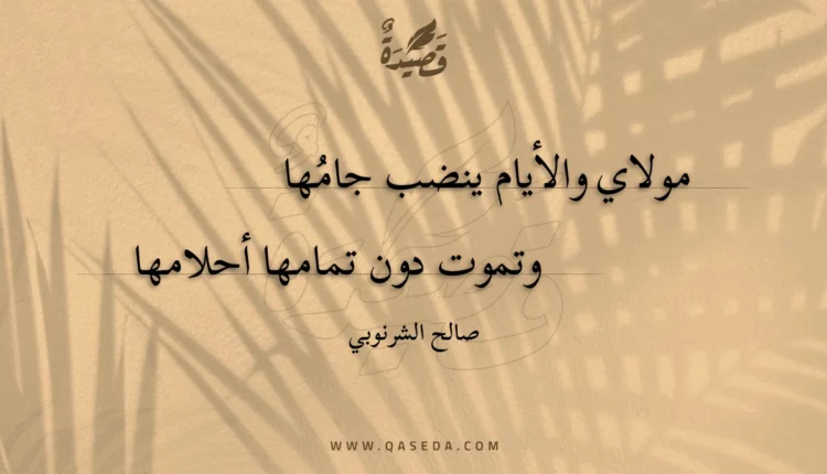 قصيدة مولاي والأيام ينضب جامها