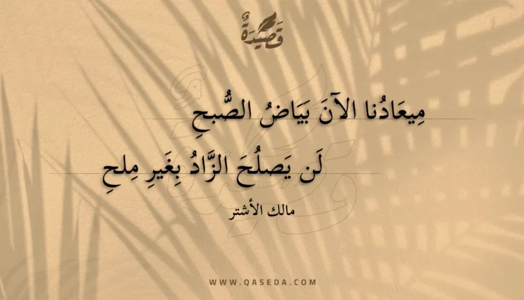 قصيدة ميعادنا الآن بياض الصبح