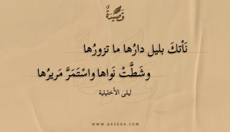 قصيدة نأتك بليل دارها ما تزورها