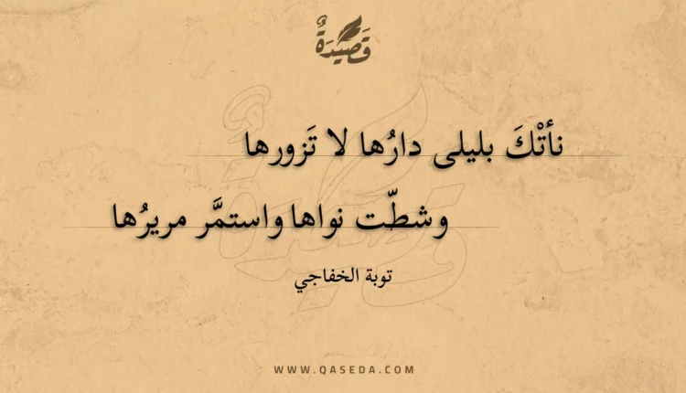 قصيدة نأتك بليلى دارها لا تزورها