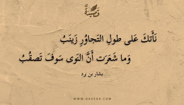 قصيدة نأتك على طول التجاور زينب