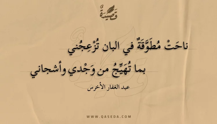 قصيدة ناحت مطوقة في البان تزعجني