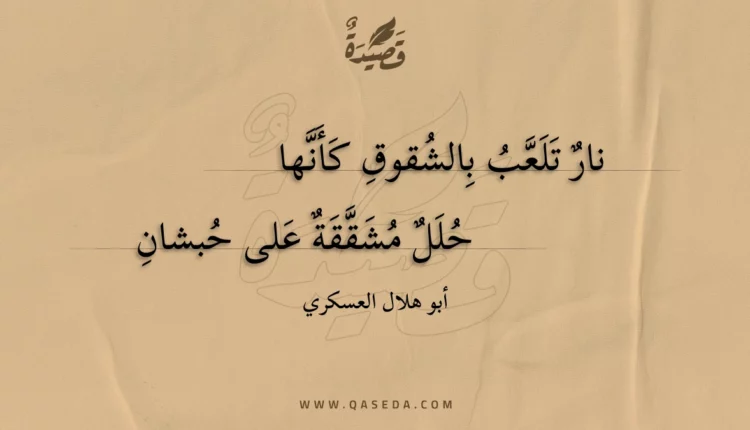 قصيدة نار تلعب بالشقوق كأنها