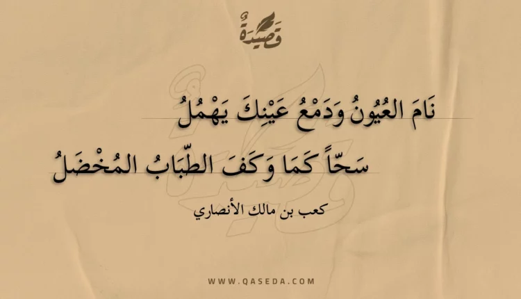 قصيدة نام العيون ودمع عينك يهمل