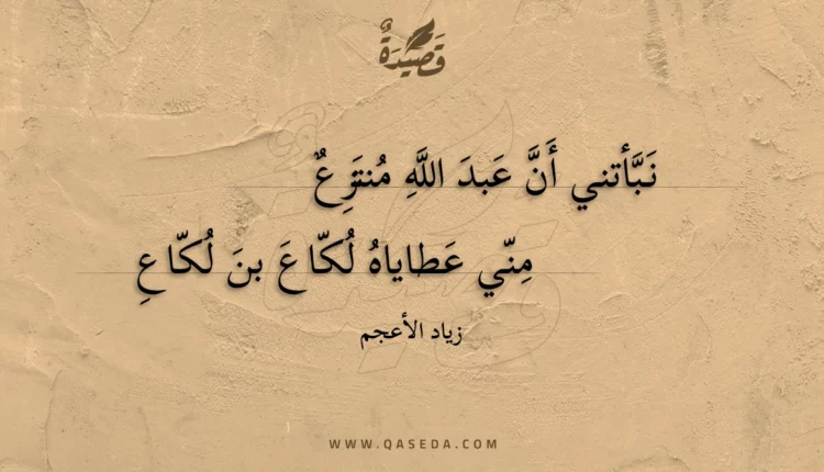قصيدة نبأتني أن عبد الله منتزع