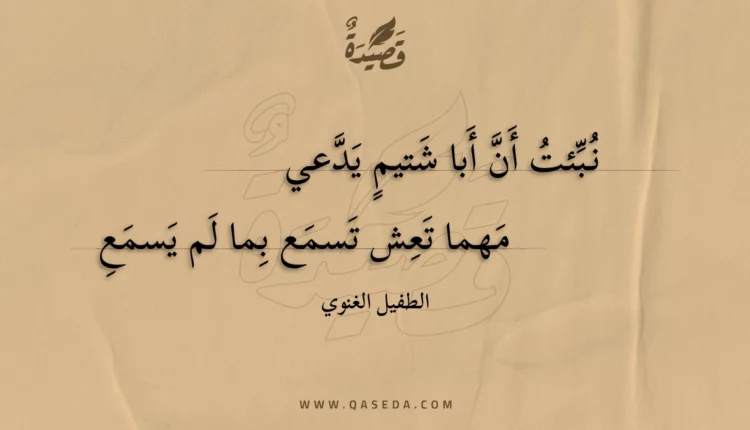 قصيدة نبئت أن أبا شتيم يدعي