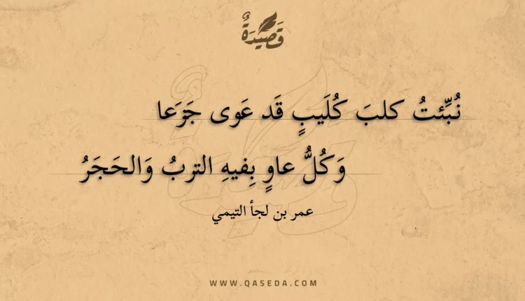 قصيدة نبئت كلب كليب قد عوى جزعا
