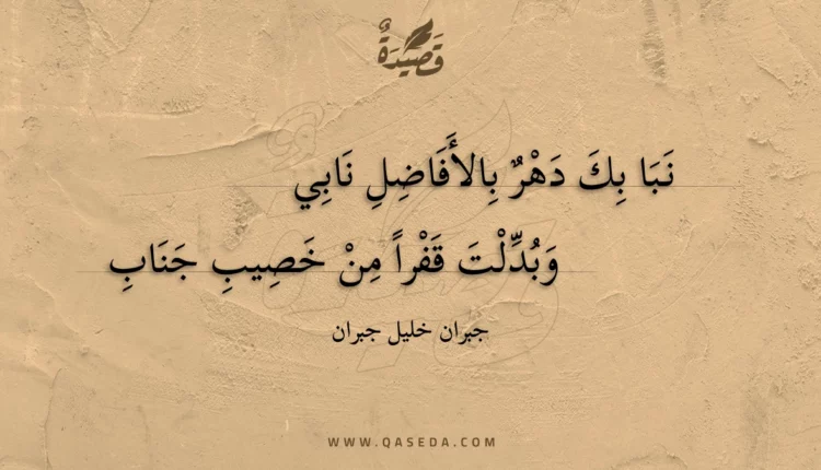 قصيدة نبا بك دهر بالأفاضل نابي