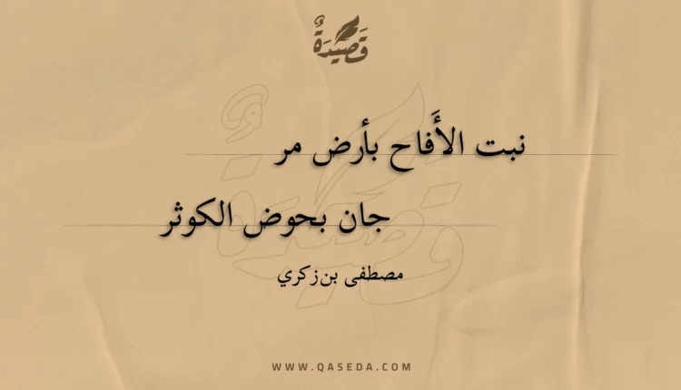 قصيدة نبت الأفاح بأرض مرجان