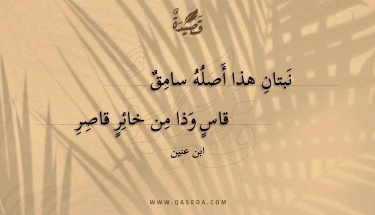 قصيدة نبتان هذا أصله سامق