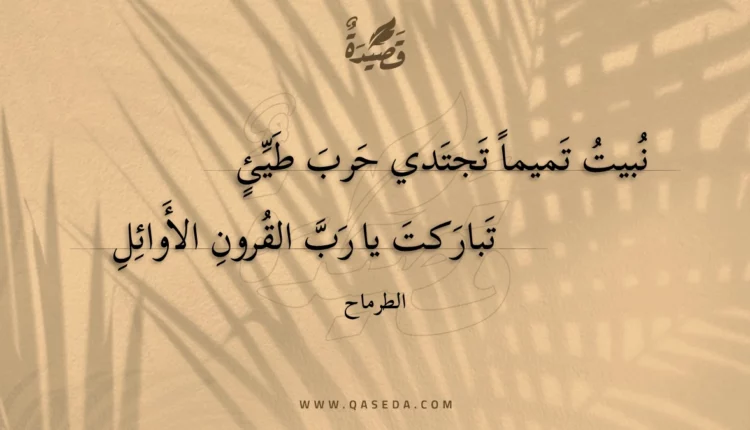 قصيدة نبيت تميما تجتدي حرب طيئ