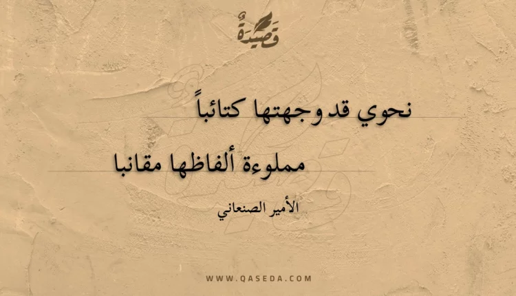 قصيدة نحوي قد وجهتها كتائبا