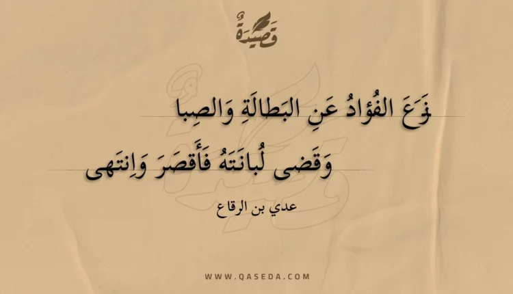 قصيدة نزع الفؤاد عن البطالة والصبا