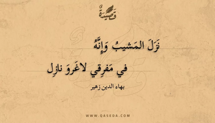 قصيدة نزل المشيب وإنه