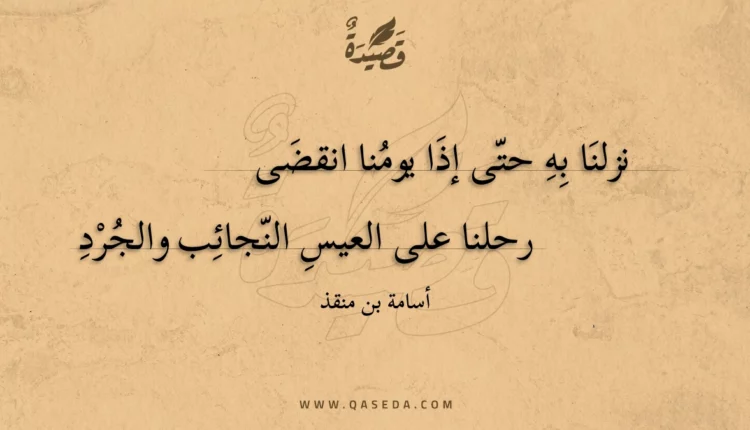 قصيدة نزلنا به حتى إذا يومنا انقضى