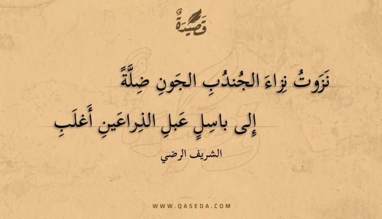 قصيدة نزوت نزاء الجندب الجون ضلة