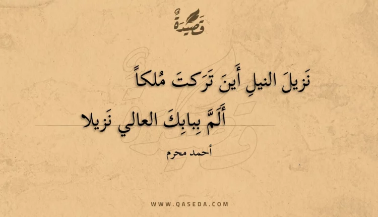 قصيدة نزيل النيل أين تركت ملكا
