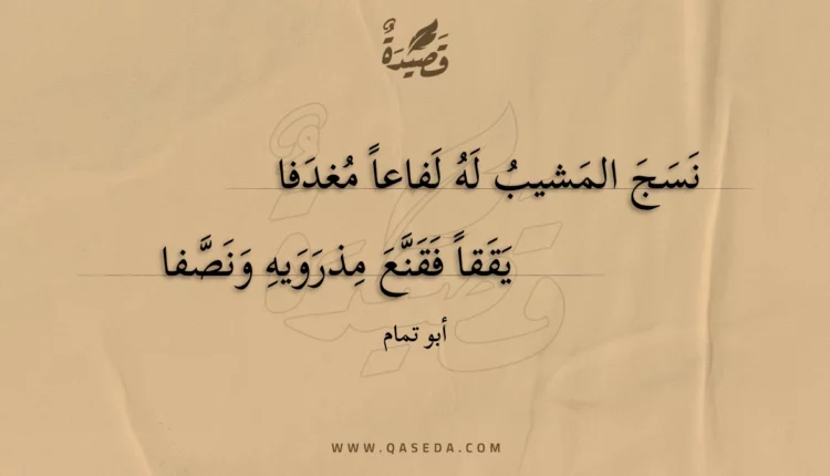 قصيدة نسج المشيب له لفاعا مغدفا