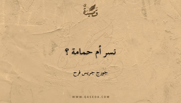 قصيدة نسر أم حمامة ؟