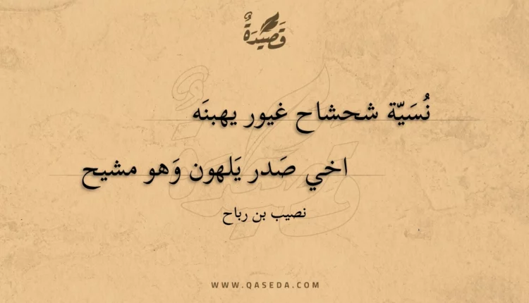 قصيدة نسية شحشاح غيور يهبنه