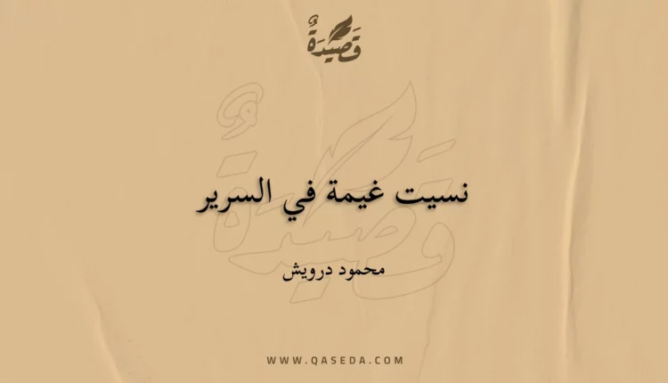 قصيدة نسيت غيمة في السرير