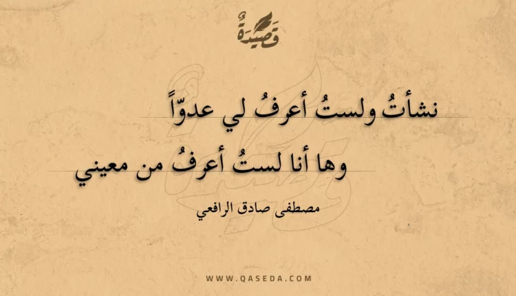 قصيدة نشأت ولست أعرف لي عدوا