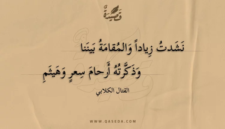 قصيدة نشدت زيادا والمقامة بيننا