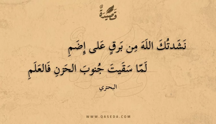 قصيدة نشدتك الله من برق على إضم