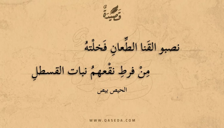 قصيدة نصبو القنا الطعان فخلته