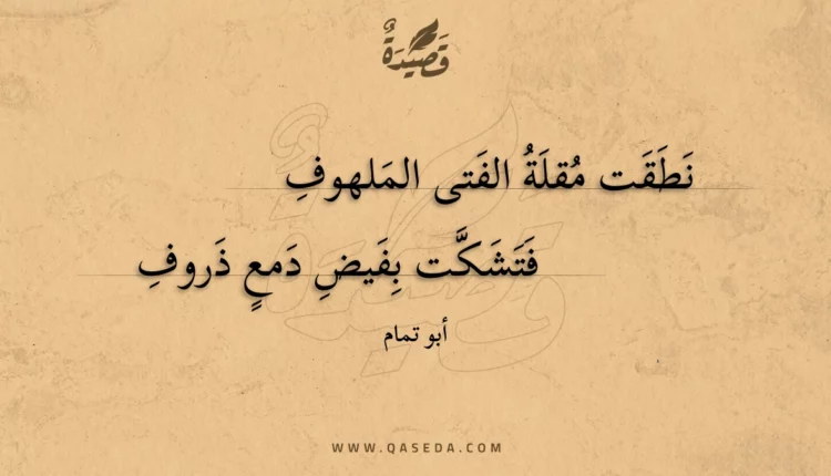 قصيدة نطقت مقلة الفتى الملهوف