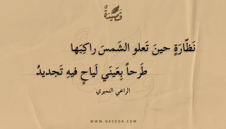 قصيدة نظارة حين تعلو الشمس راكبها