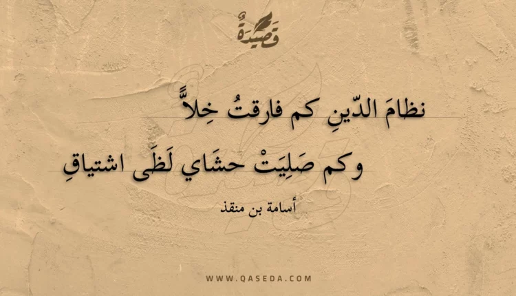 قصيدة نظام الدين كم فارقت خلا