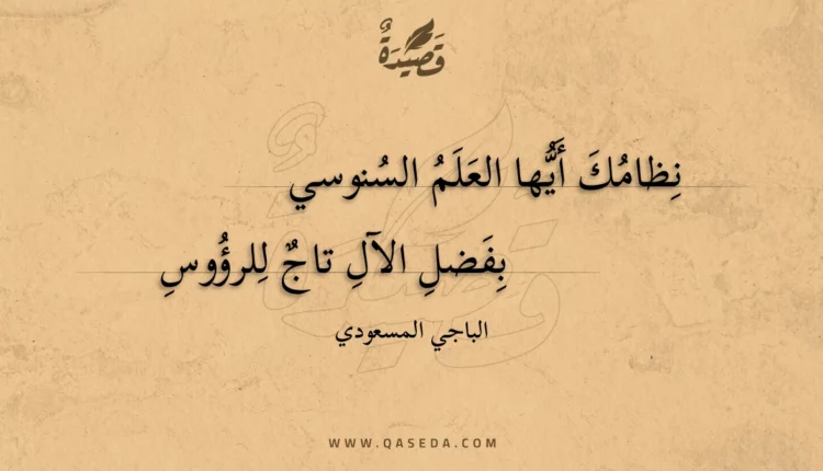 قصيدة نظامك أيها العلم السنوسي