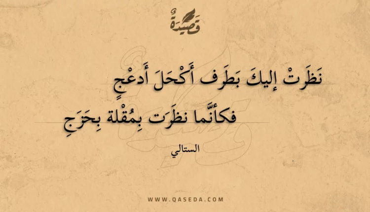 قصيدة نظرت إليك بطرف أكحل أدعج