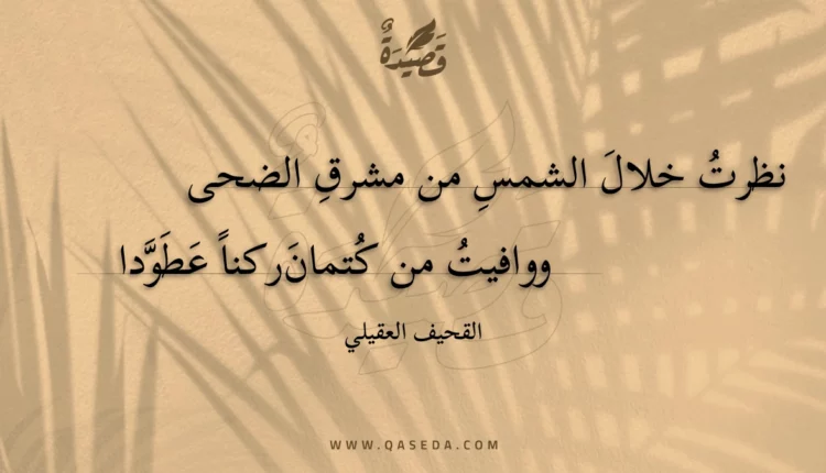 قصيدة نظرت خلال الشمس من مشرق الضحى