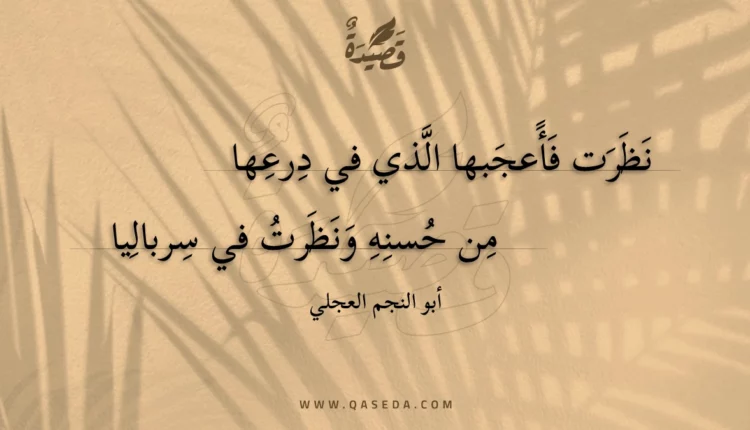 قصيدة نظرت فأعجبها الذي في درعها