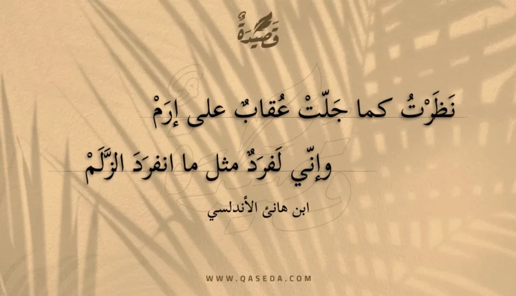 قصيدة نظرت كما جلت عقاب على إرم