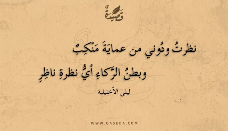 قصيدة نظرت ودوني من عماية منكب