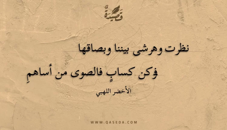 قصيدة نظرت وهرشى بيننا وبصاقها