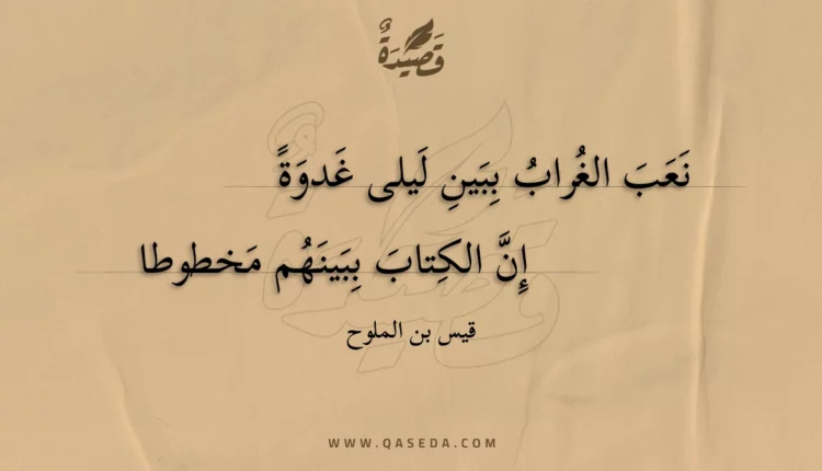 قصيدة نعب الغراب ببين ليلى غدوة