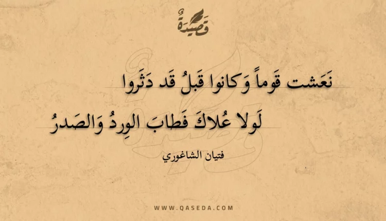 قصيدة نعشت قوما وكانوا قبل قد دثروا