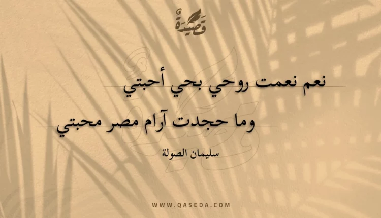 قصيدة نعم نعمت روحي بحي أحبتي