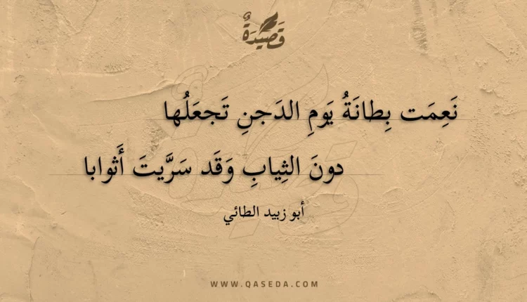 قصيدة نعمت بطانة يوم الدجن تجعلها
