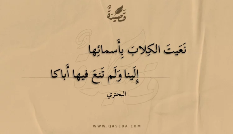 قصيدة نعيت الكلاب بأسمائها