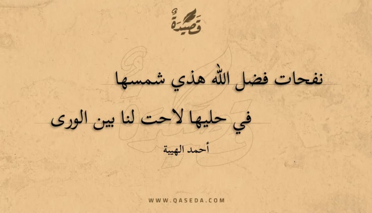 قصيدة نفحات فضل الله هذي شمسها