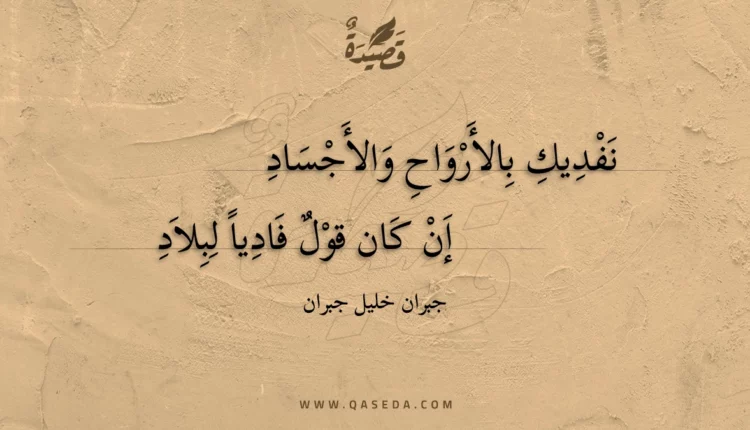 قصيدة نفديك بالأرواح والأجساد