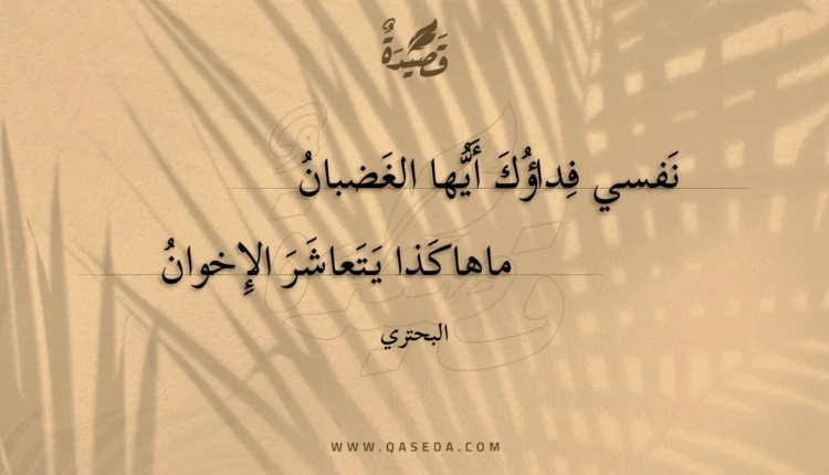قصيدة نفسي فداؤك أيها الغضبان