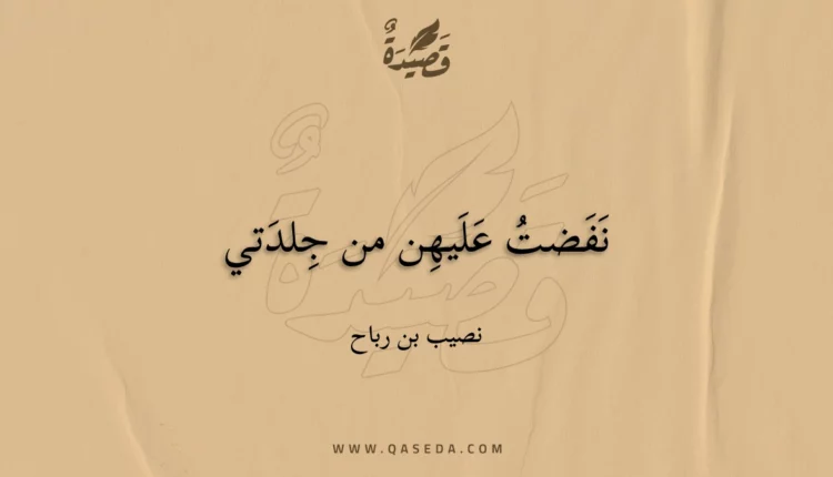 قصيدة نفضت عليهن من جلدتي