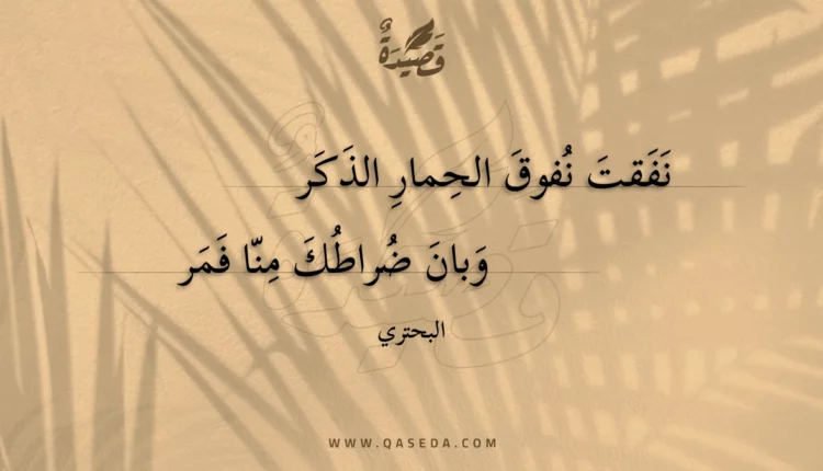 قصيدة نفقت نفوق الحمار الذكر