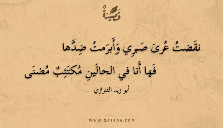قصيدة نقضت عرى صبري وأبرمت ضدها